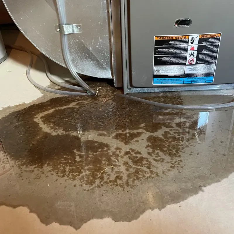 Pipe Burst and Leak Restoration in Nazareth, PA